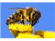 3ab36039-6d48-497c-837e-e46c095cac00